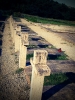 Cmentarz Monte Cassino.jpg